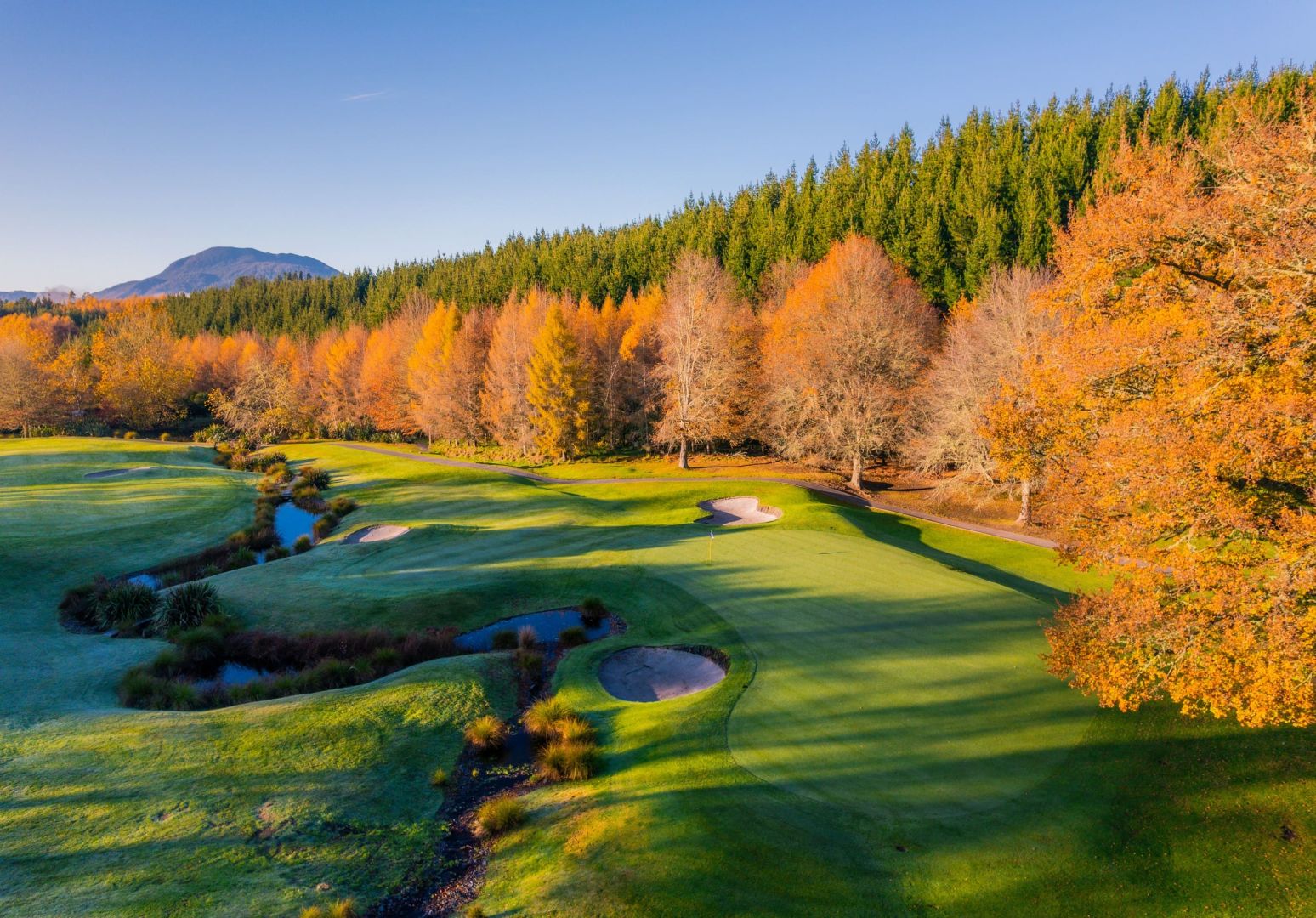 Wairakei Golf course